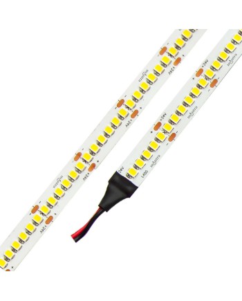 TIRA LED 24V 19,2w/m IP20 2700K ROLLO 5M